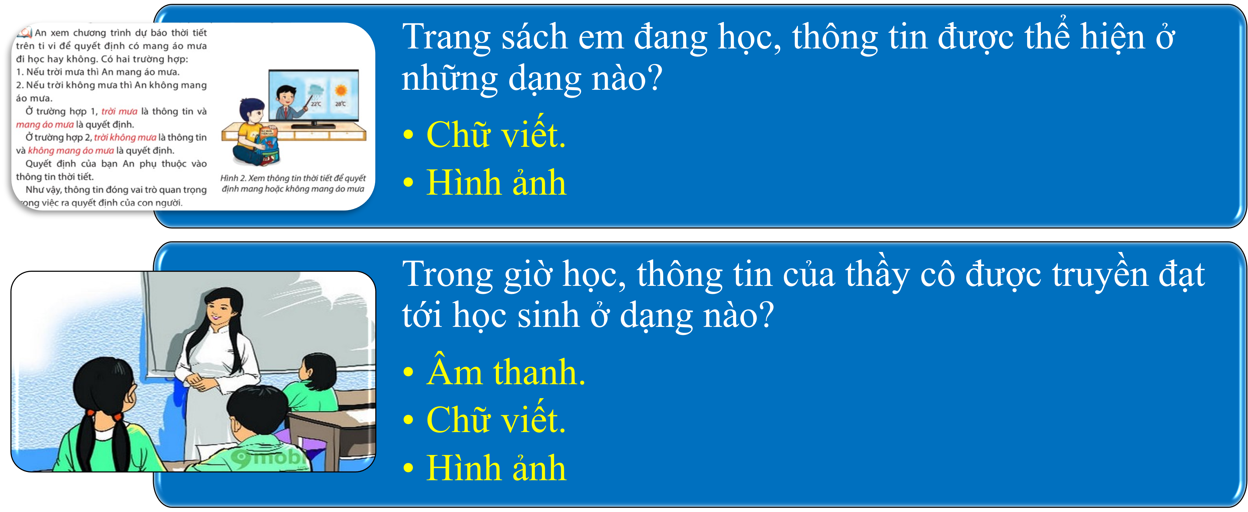 Hình: Các dạng thông tin